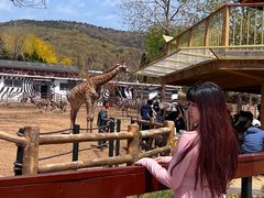 -大连森林动物园