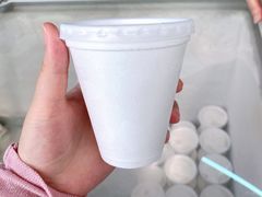 -洪馨椰子