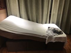 -菩提慧宾养生堂(梦幻亮点世界公园店)