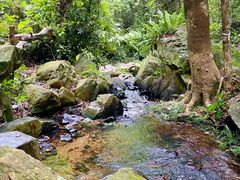 -佛山市三水区大南山森林公园