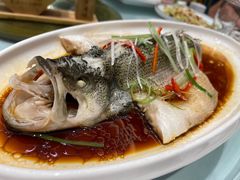 -原鄉本味 楚菜 丹江口鱼(北苑店)