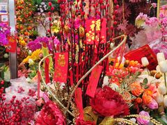 -溪岸路花鸟市场