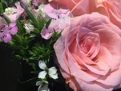 -北京望京葉子里酒店(望京SOHO店)
