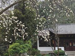 -团城山公园