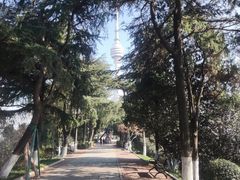 -龟山风景区-龟山电视塔