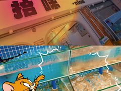 -孙记海鲜砂锅菜(拾味nice店)