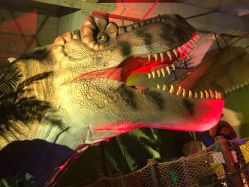 -恐龙探索乐园(磁器口店)