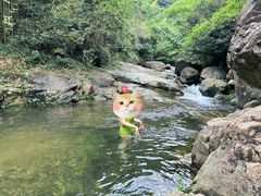 -井空里大峡谷