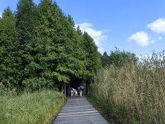 -溱湖国家湿地公园