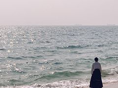 -玫瑰海岸文化旅游度假区