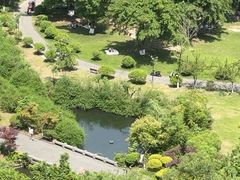 -成都南湖公园