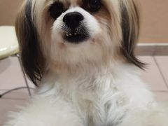 -益友堂盲人推拿正骨穴位按摩工作室