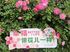 -南京国际青年文化中心