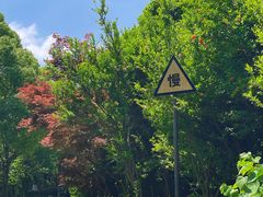 -南京市江宁方山