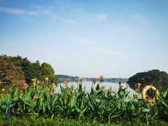 -海珠湖公园