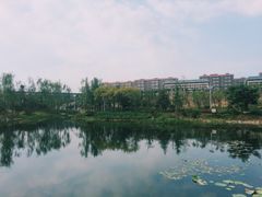 -河南财经政法大学(郑东校区)