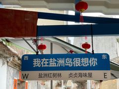 -盐洲岛