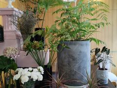 -蝶舍·MAISON PAPILLON