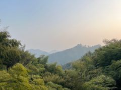 -莫干山风景区