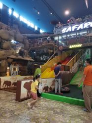 -卡通尼·Safari非洲探索乐园·生日会(金桥国际商业广场店)