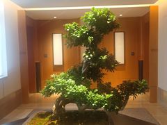 -杭州桐庐康莱德酒店西餐厅-舍