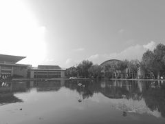 -上海第二工业大学(金海路校区)