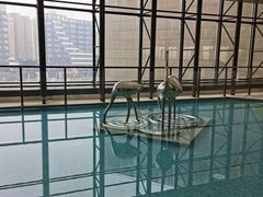 -上海嘉定喜来登酒店