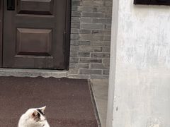 -颐和路民国时期公馆风貌区