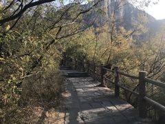 -云台山风景名胜区