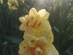 -国家植物园南园