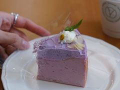 -流酥可心·牛乳蛋糕商店(禾祥西路店)