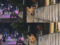 -豆舞咖啡(民乐路店)