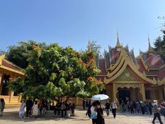 -西双版纳勐泐文化旅游区