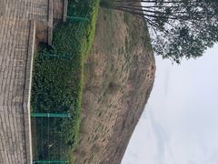 -南凉虎台遗址公园