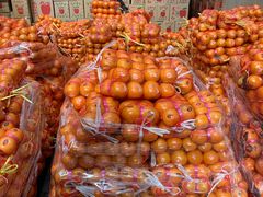 -西郊国际农产品交易中心