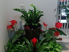 -澜珀养生馆·东北搓澡