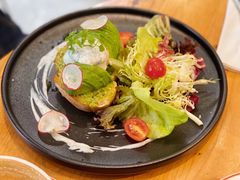 -Elephant Grounds(STARSTREET)