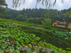 -韶山毛泽东同志故居