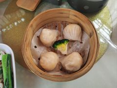 -陶缘一号·四季缘·老字号顺德菜·户外婚礼家宴(西滘店)