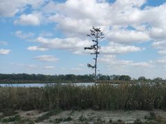 -盐城丹顶鹤湿地生态旅游区