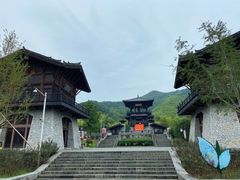 -大唐贡茶院