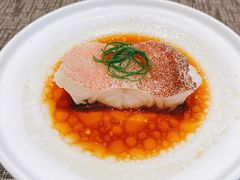 清蒸龙胆斑-郑春發佛跳墙(三迪中心店)