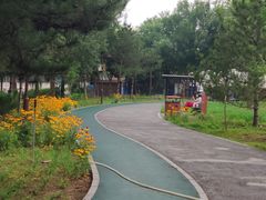 -回龙观体育文化公园