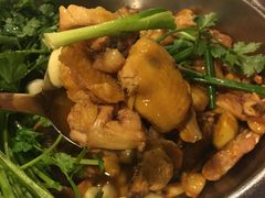 -九道菜有鸡鱼头(石鼓路店)