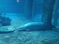 -华夏文旅海洋公园