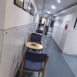 -温州伯思立医院