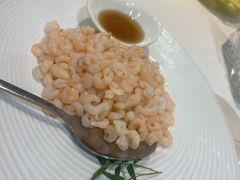 -香雪海饭店中餐厅(人民桥店)