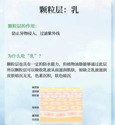 点击看大图 -玛莲朵·海菲秀冰珀科