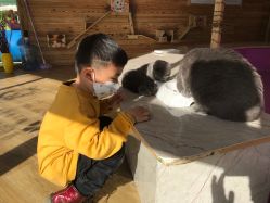 -萌宠亲子动物乐园(槐房万达店)