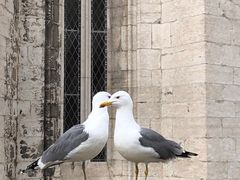 -圣胡斯塔升降机